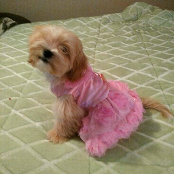 Meet your Posher, Debbie - Picture 1 of 1